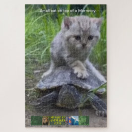 パズルの小さな猫がモロコイの上に ジグソーパズル