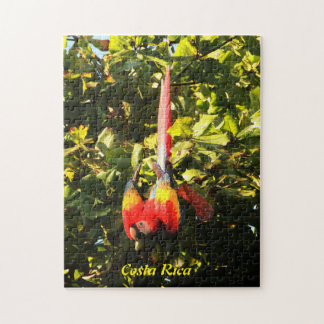 パズルの深紅のコンゴウインコ ジグソーパズル