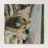 パズルグリズリーベアーズオブサウスダコタ ジグソーパズル (横)