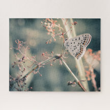 パズルパピロン520個