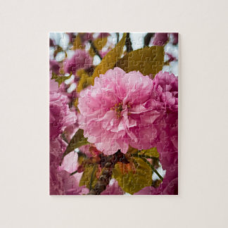 パズルフルーア – 写真 ジグソーパズル