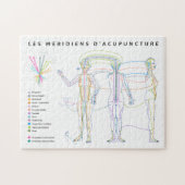 パズルメリディーンズダクプトゥーヴェンツェ、メデシネチノワーズ ジグソーパズル (横)