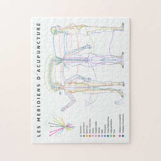 パズルメリディーンズダクプトゥーヴェンツェ、メデシネチノワーズ ジグソーパズル (縦)