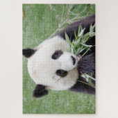 パズル写真ジャイアントパンダ、動物0342。 ジグソーパズル (縦)