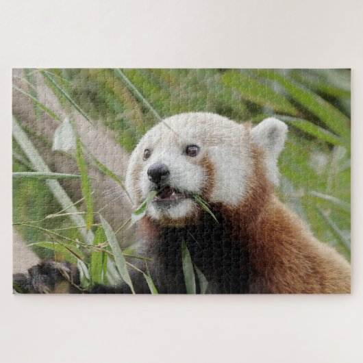 パズル写真レッドパンダ、動物0528。 ジグソーパズル (横)