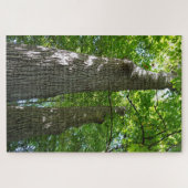 パズル千枚以上、そびえ立つ木 ジグソーパズル (横)