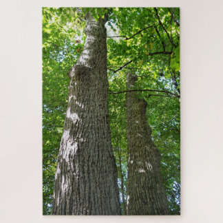 パズル千枚以上、そびえ立つ木 ジグソーパズル