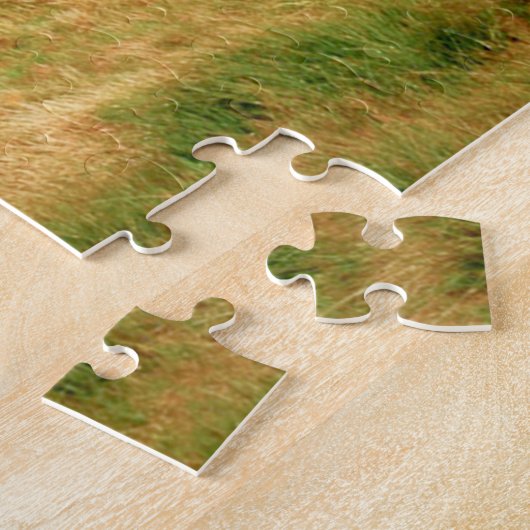 パズル (側面)