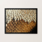 パズル – ひまわりの殻 (横)