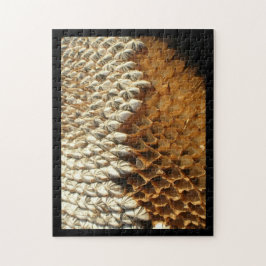 パズル – ひまわりの殻