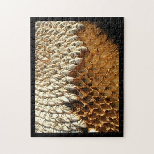 パズル – ひまわりの殻 (縦)