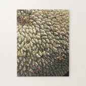 パズル – ひまわりチャレンジ (縦)