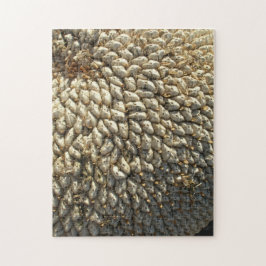 パズル – ひまわりチャレンジ