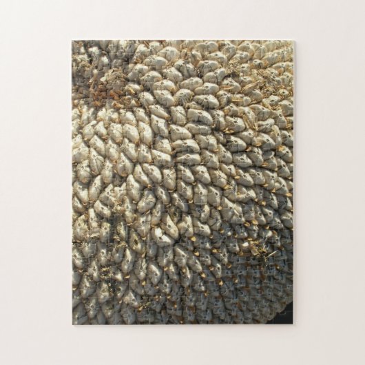 パズル – ひまわりチャレンジ (縦)