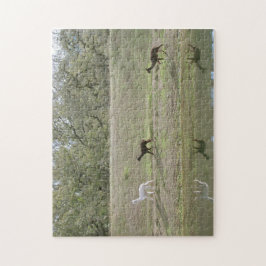 パズル – アルパカスオンザヒル