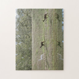 パズル – アルパカ反射