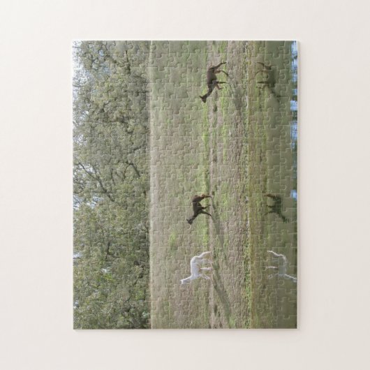 パズル – アルパカ反射 (縦)