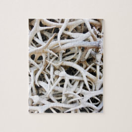 パズル – エルク〔雄ジカの〕枝角