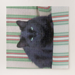 パズル – コージーキャットオンクッション