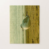 パズル – シーガルアットサンセット (縦)