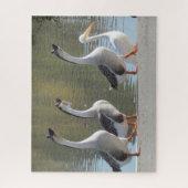 パズル – スリーゲーゼとペリカン (縦)