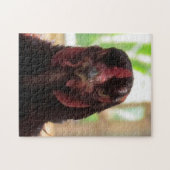 パズル – チ怒キン (横)