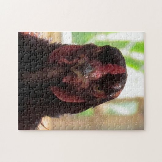 パズル – チ怒キン (横)