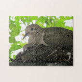 パズル – ドブズインネスト (横)