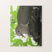 パズル – ドブズインネスト (縦)