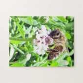 パズル – ハニービー (横)