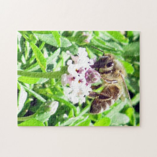 パズル – ハニービー (横)