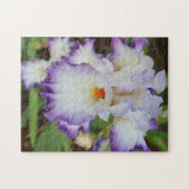 パズル-パープルエッジホワイトオーキッド ジグソーパズル (横)