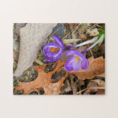 パズル-パープルクロクサス ジグソーパズル (横)