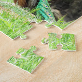 パズル – ピーコックオンザヒル (側面)