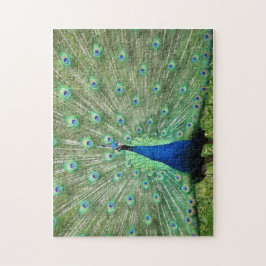 パズル – ピーコ誇りを持ったック