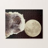 パズル – フクロウと月 (横)