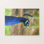 パズル – ブルーピーコックヘッド (横)