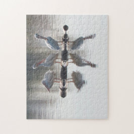 パズル – ペリカンと反射