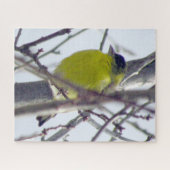 パズル – 冬の木の黄色いフィンチ (横)