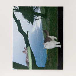 パズル – 四肢外