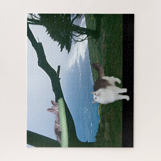 パズル – 四肢外 (縦)