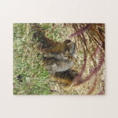 パズル – 好奇心リス (横)