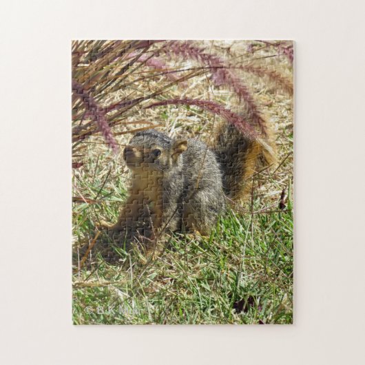 パズル – 好奇心リス (縦)