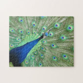 パズル – 尻尾の羽を表示する孔雀 (横)