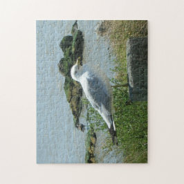 パズル – 杭のカモメ