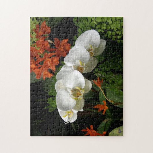 パズル – 白い蘭 (縦)