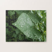 パズル(緑葉と雨粒) ジグソーパズル (横)