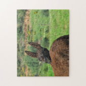 パズル: Happy Donkey ジグソーパズル (縦)