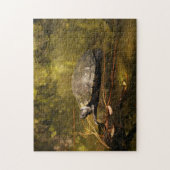 パズル- Turtle on Log in Pond ジグソーパズル (縦)