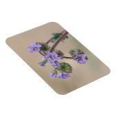 パセリアパープルワイルドフラワー マグネット (右側)